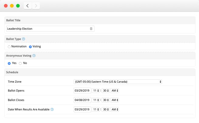 eBallot Screenshot 1