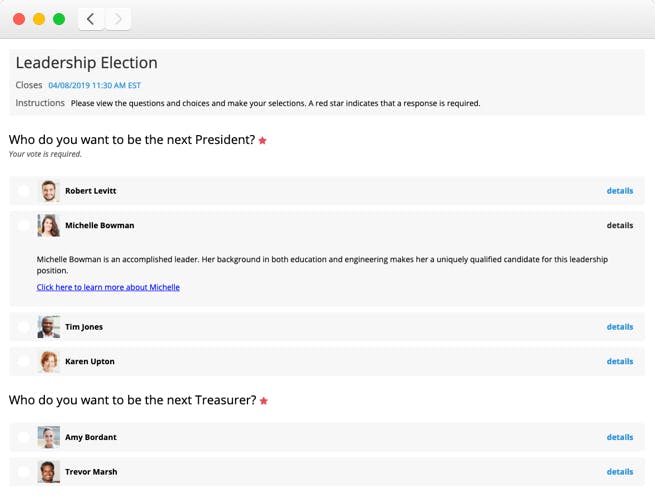 eBallot Screenshot 3