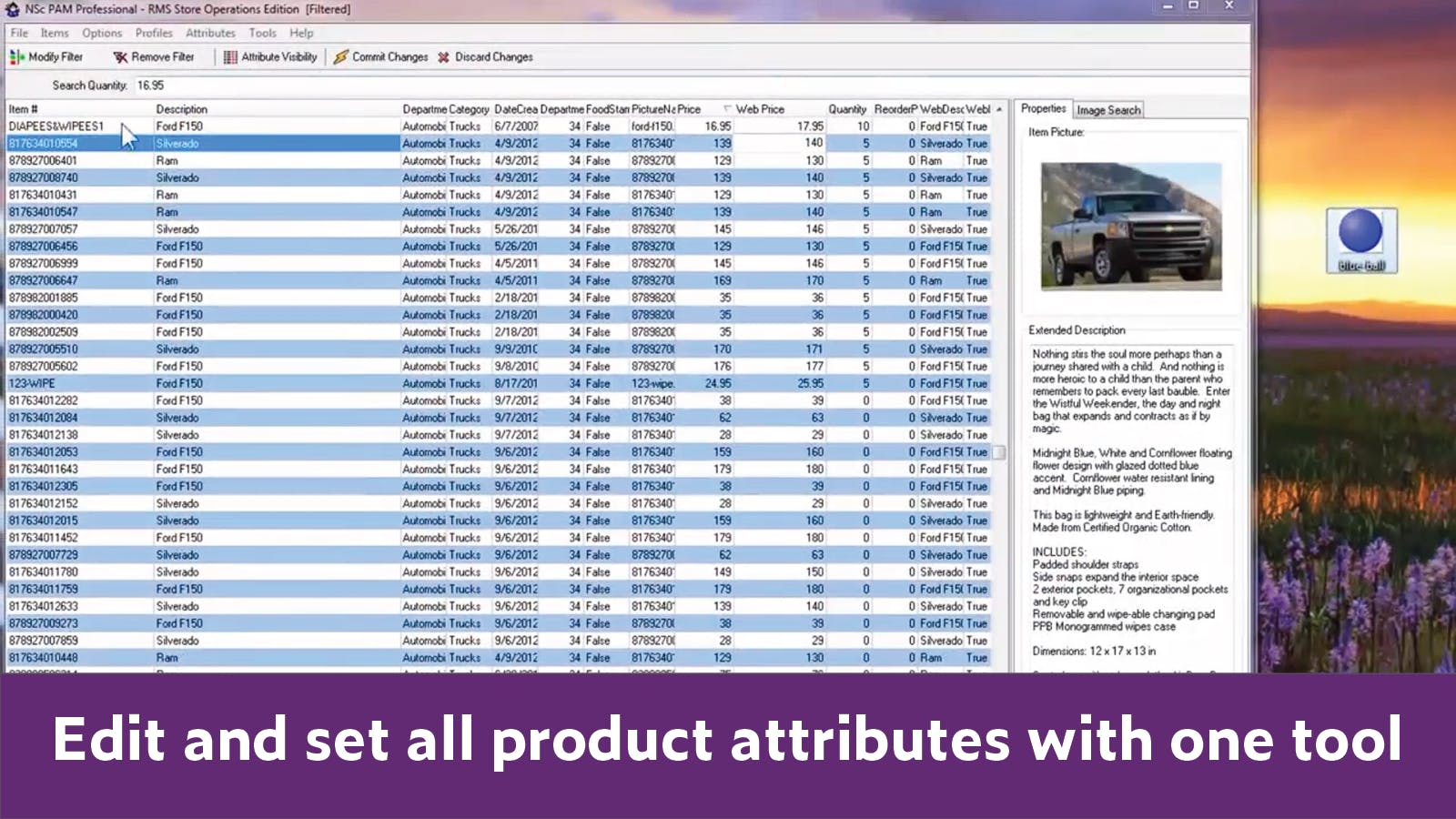 WebSell Screenshot 2
