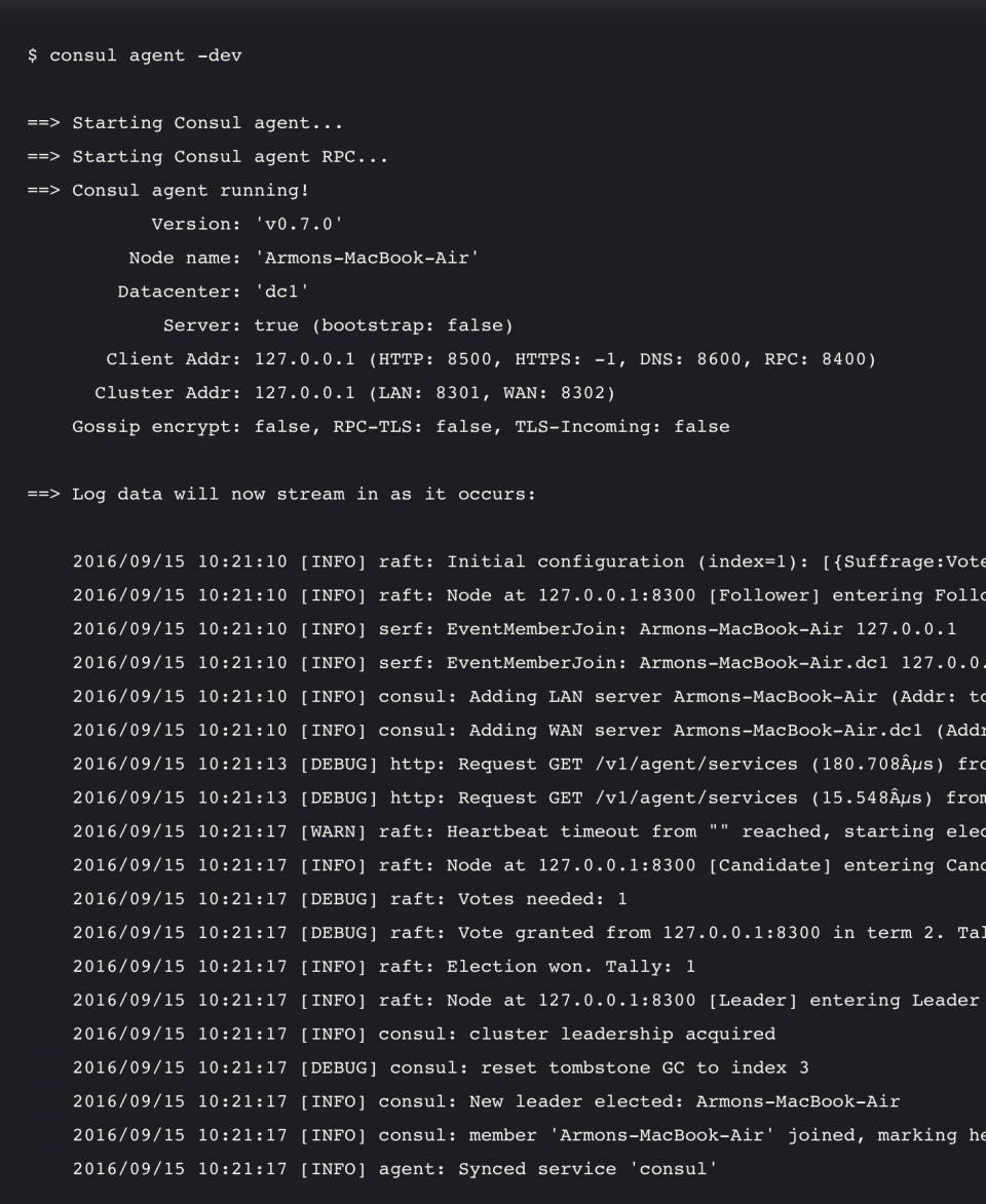 HashiCorp Consul Screenshot 3
