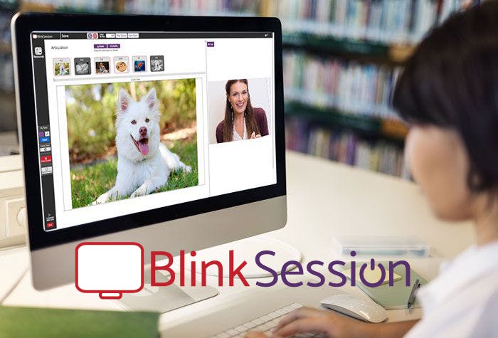 Blink Session Screenshot 1