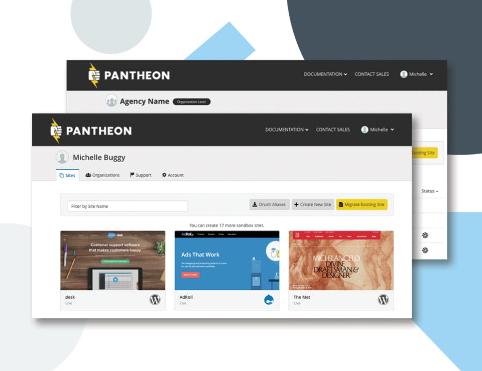 Pantheon Screenshot 4