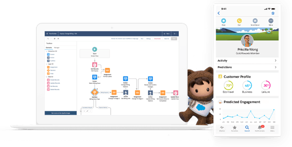 Salesforce Platform Screenshot 1