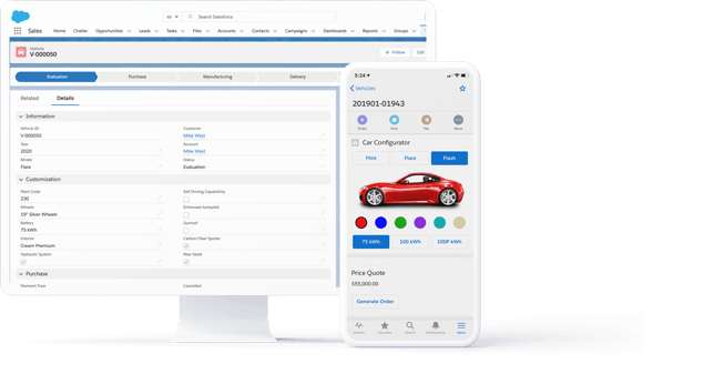 Salesforce Platform Screenshot 4