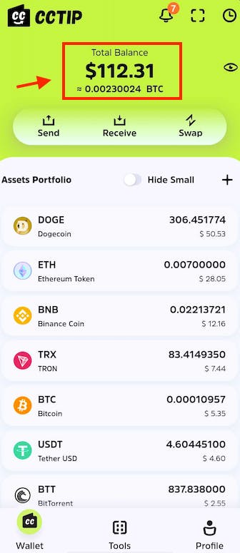 CCTIP Screenshot 2