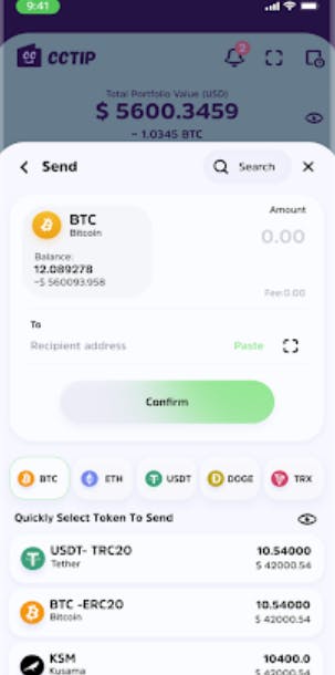 CCTIP Screenshot 4
