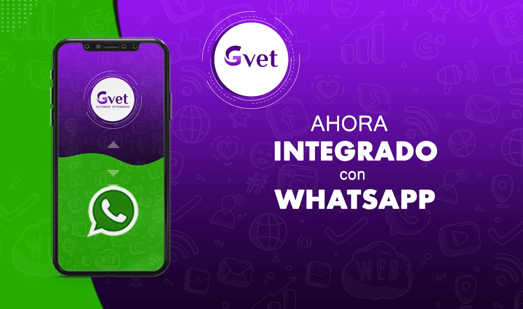 GVET Screenshot 2