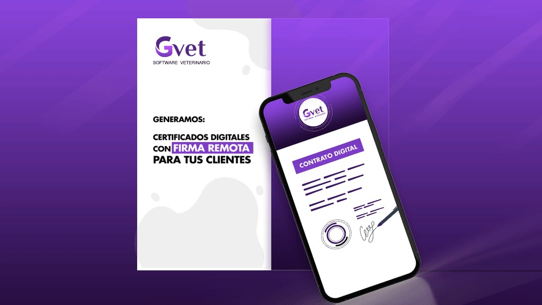 GVET Screenshot 3
