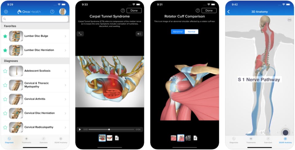 Orca Health Screenshot 3