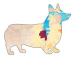 Corgilytics