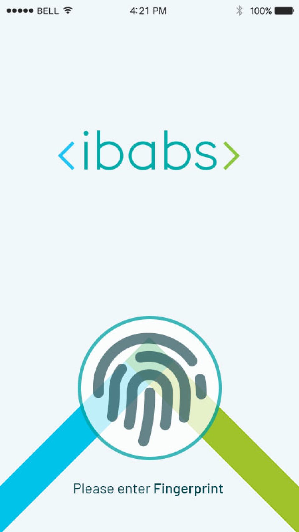iBabs Screenshot 5