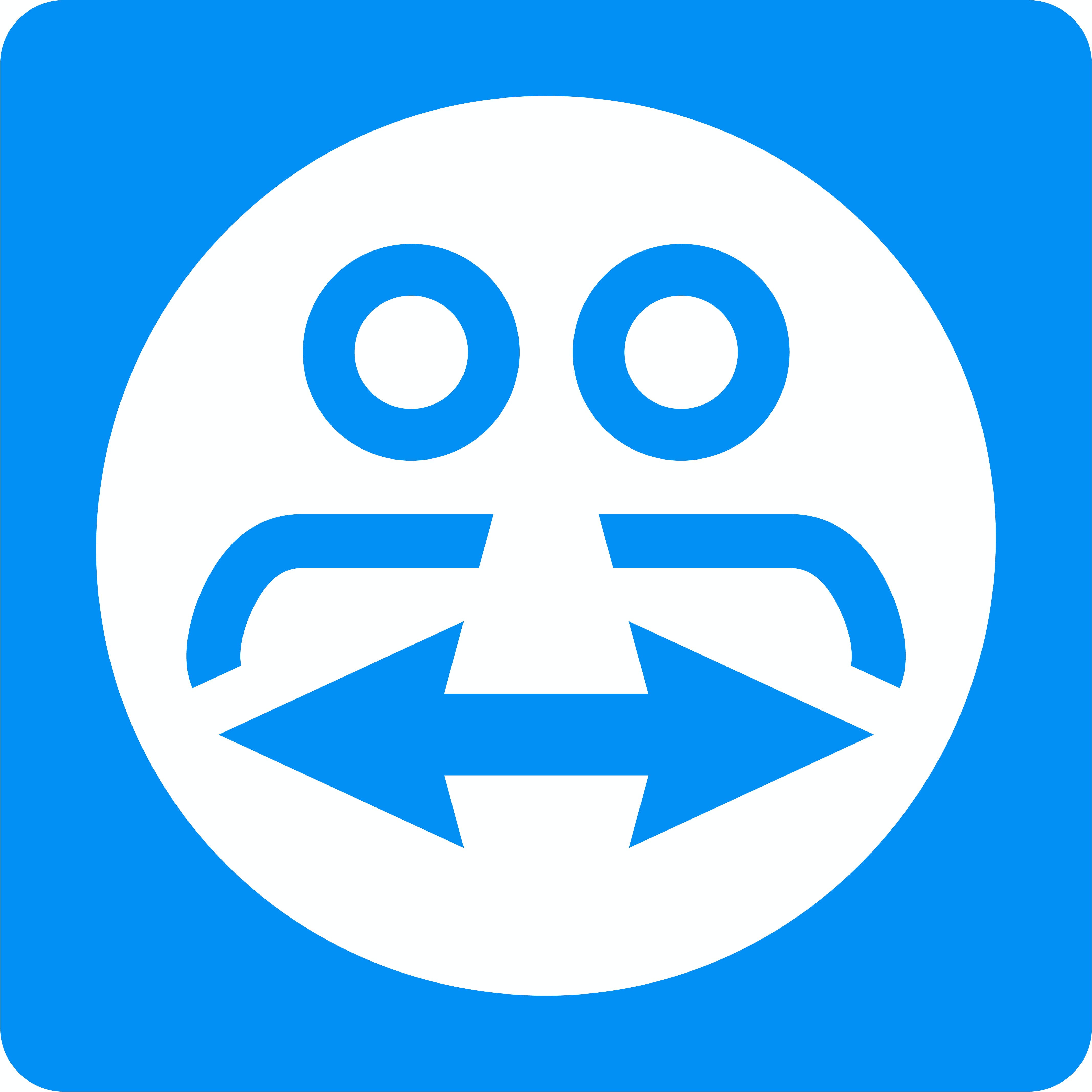TeamViewer Meeting