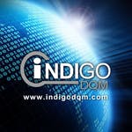 Indigo PMT