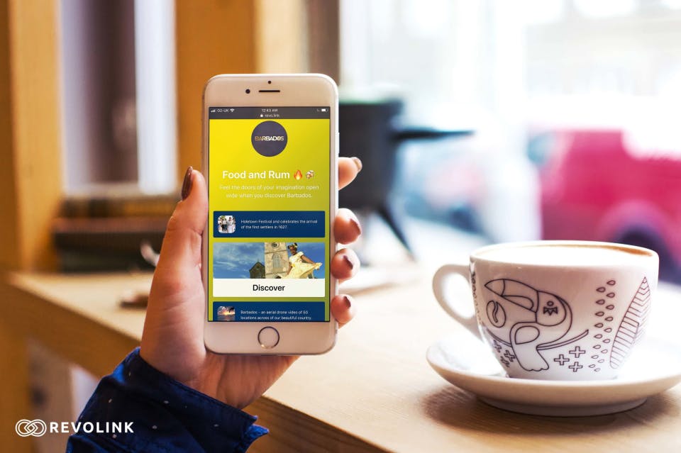 Revolink Screenshot 1