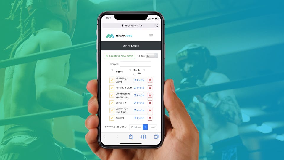 MagnaPass Pro Screenshot 3