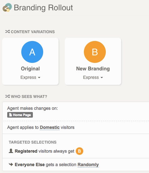 Conductrics V3 Screenshot 1