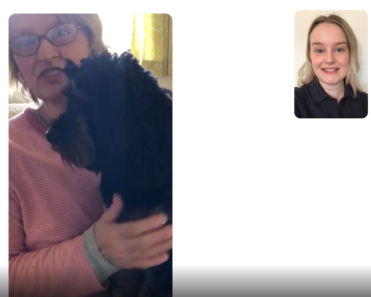 PetsApp Screenshot 3