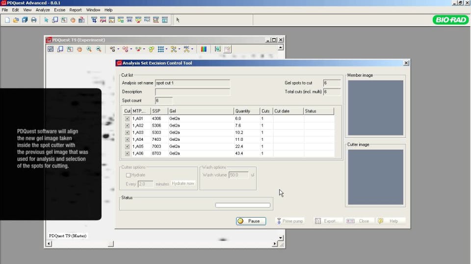 PDQuest Screenshot 2