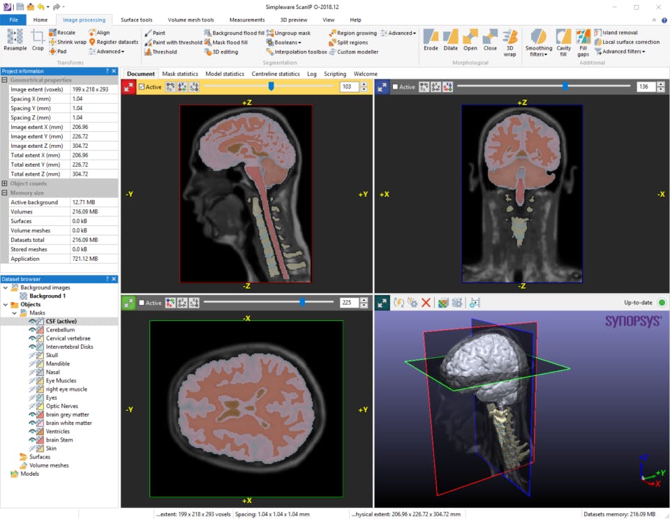 Synopsys Simpleware Software Screenshot 2