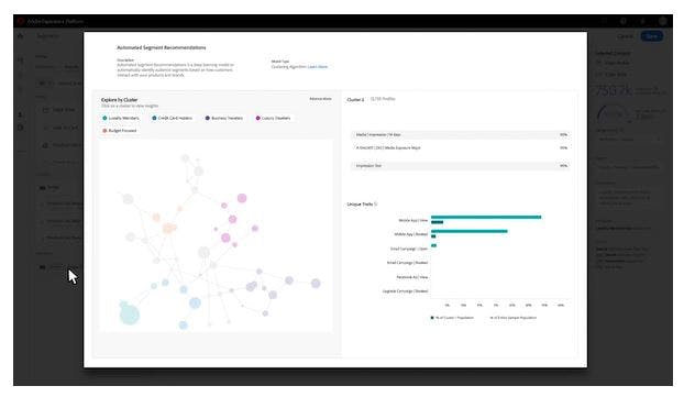 Adobe Real-Time CDP Screenshot 2