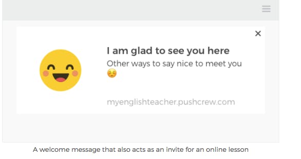 PushCrew Screenshot 4