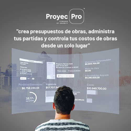 ProyecPro Screenshot 4