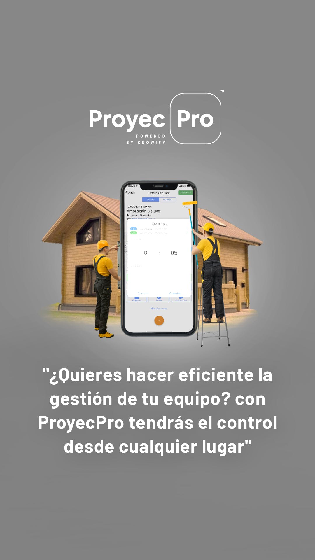 ProyecPro Screenshot 5