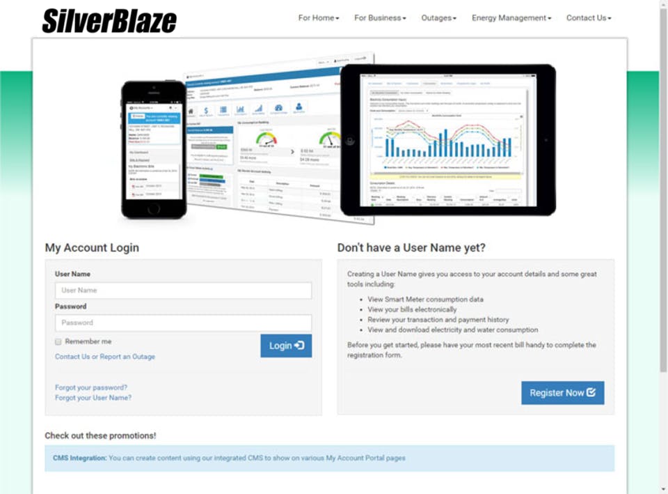 SilverBlaze Customer Portal Screenshot 3