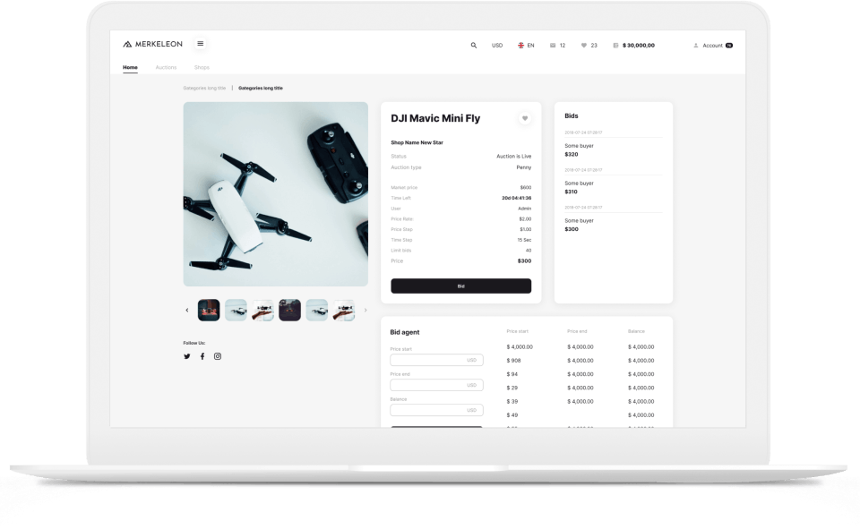 Merkeleon Internet Auction Software Screenshot 2