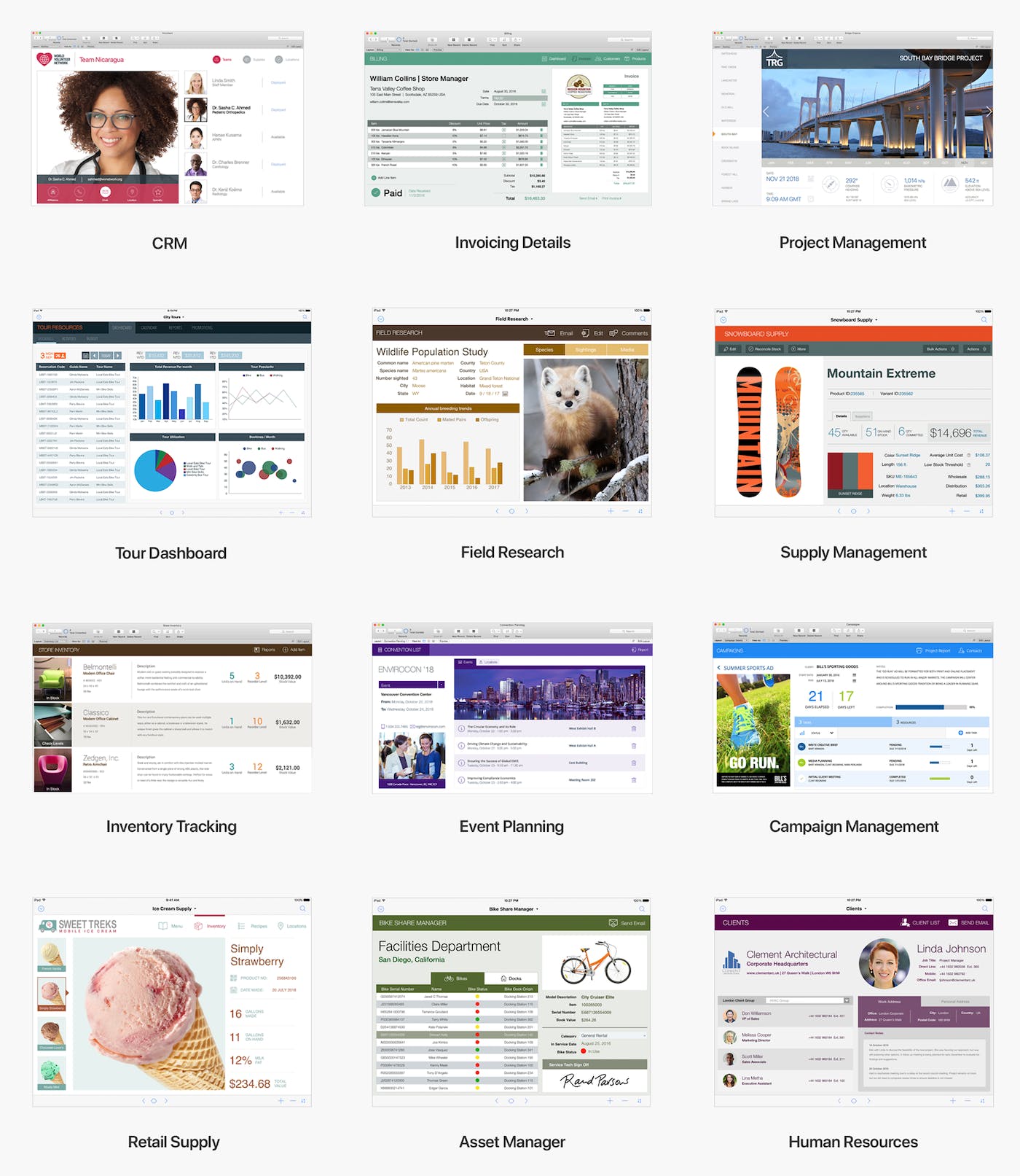 Claris FileMaker Screenshot 3