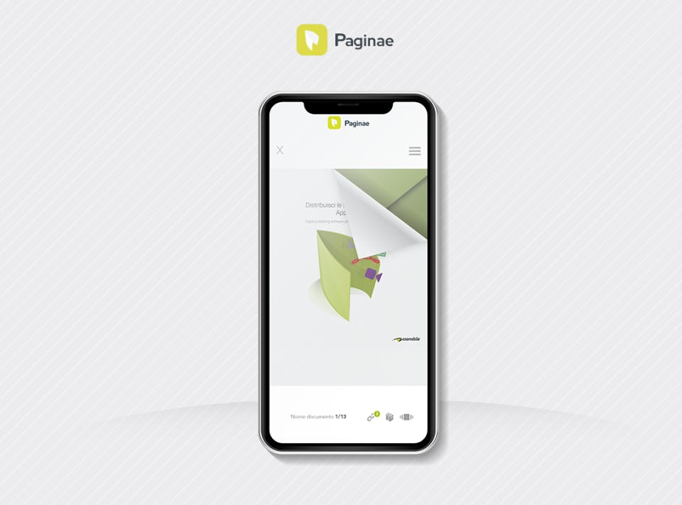 Paginae Screenshot 2