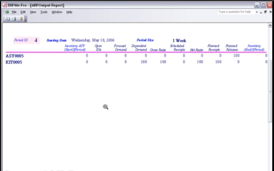 ERPlite Pro Screenshot 2
