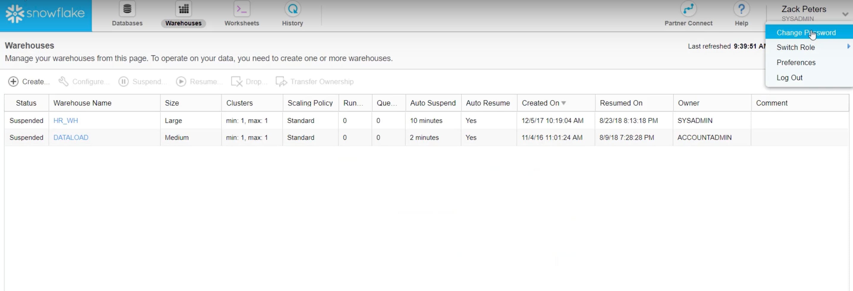 Snowflake Screenshot 1