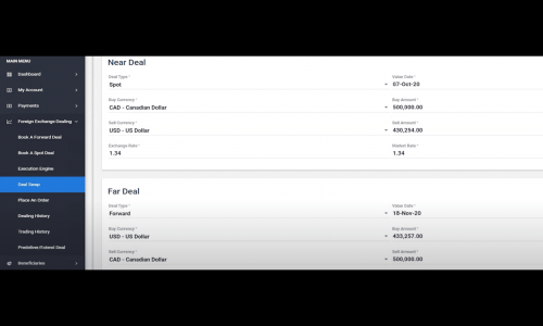 Foreign Exchange Software Screenshot 1