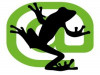 Screaming Frog Services
