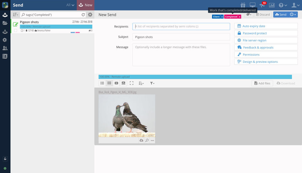Digital Pigeon Screenshot 3