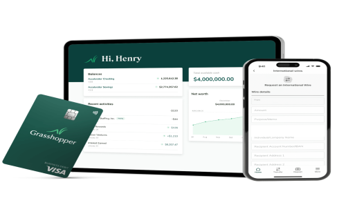 Grasshopper Bank Screenshot 1