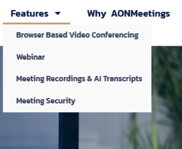 AONMeetings Screenshot 2