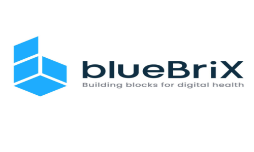 blueBriX Screenshot 1