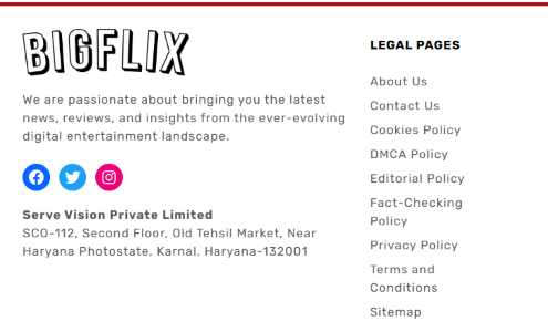 BIGFLIX Screenshot 2