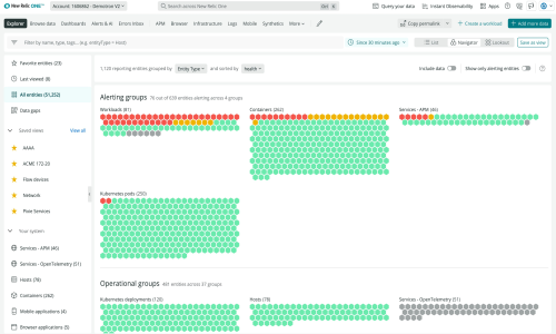New Relic Screenshot 4