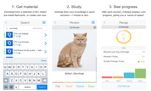 AnkiApp Screenshot 2