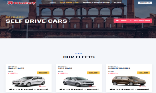 DriveEazy Screenshot 5