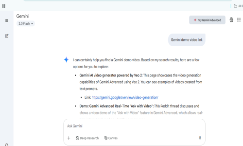 Gemini Google AI Screenshot 5