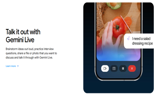 Gemini Google AI Screenshot 1