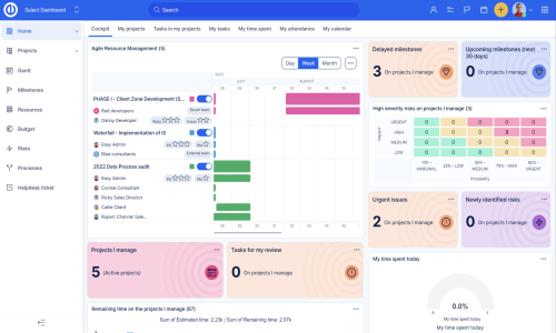 Easy Redmine Screenshot 1