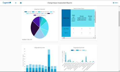 Capgemini Screenshot 3
