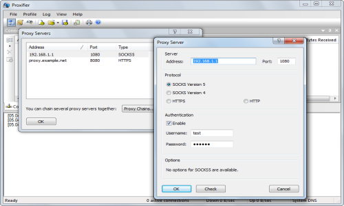 Proxifier Screenshot 1