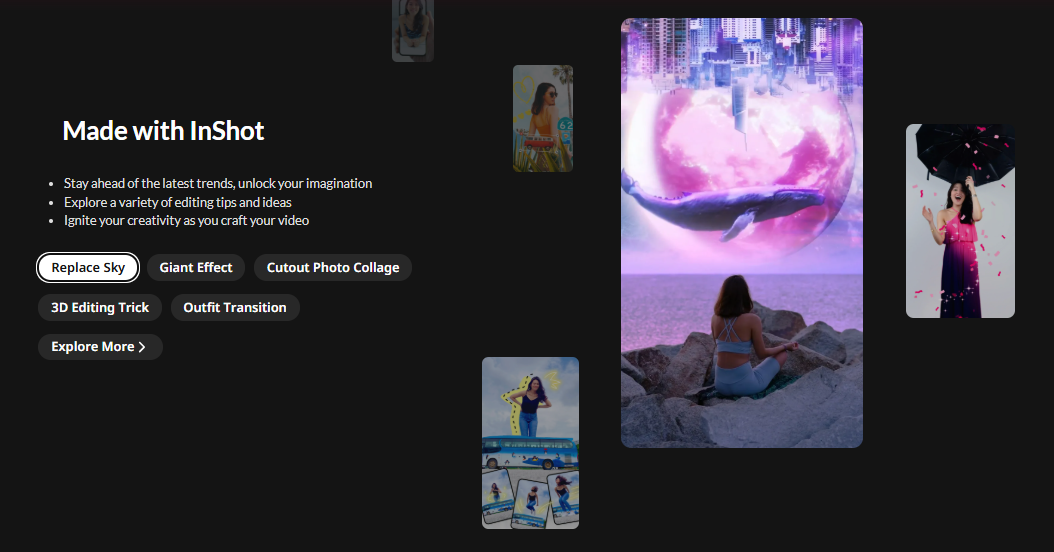 InShot  Screenshot 3