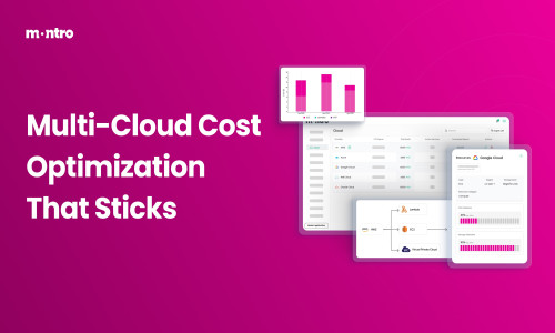 Multi Cloud Cost Optimizing Screenshot 1